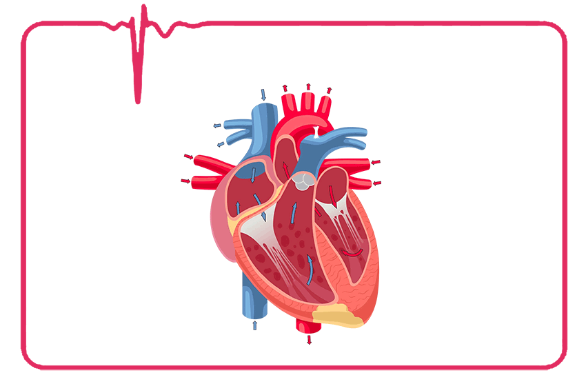 Cardiac Medicine Manufacturer in New Delhi