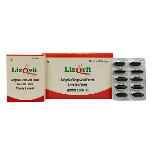 Lizovit Manufacturers in New Delhi