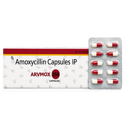 ARVMOX 250 Suppliers in Delhi