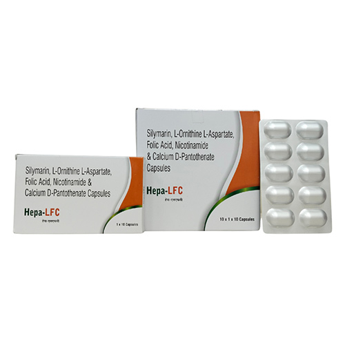 Hepa-LFC Manufacturers in New Delhi